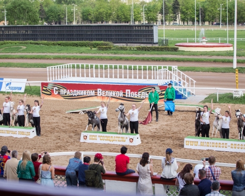 Выступление АМНА лошадей конефермы КСК «Созидатель» на ЦМИ 08.05.16 Открытие скакового сезона 2016
