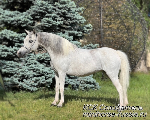 БАРСИК - CREATION TRIP TO BARSELONA