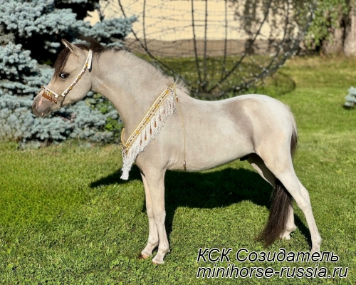 СТЭНЛИ — SOZIDATEL KING`S STANLEY LEADER